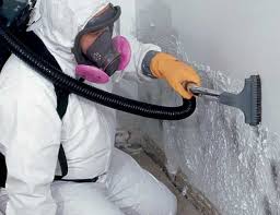 Mold Removal for HVAC Installations in Boutte, LA